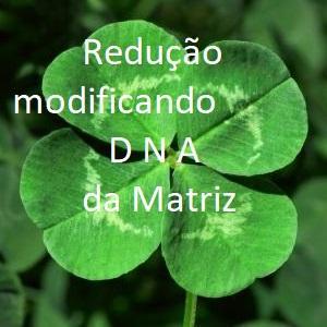 Redução Modificando DNA Matriz