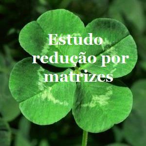 Estudo Redução Utilizando Matriz