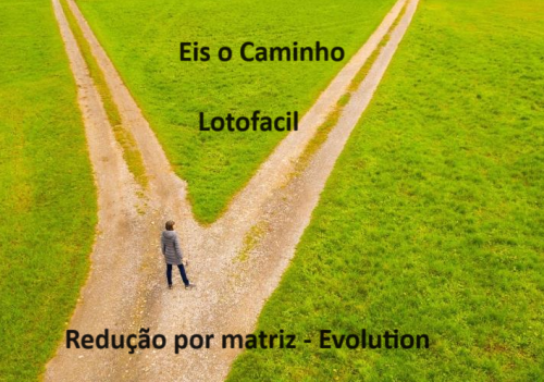 More information about "Redução por Matriz ( Evolution )"