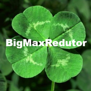 More information about "BigMaxRedutor"